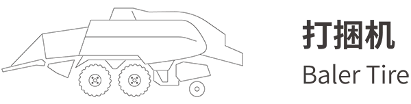Compatible Model 1